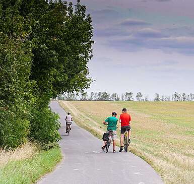Radwandern im Naturpark Fläming