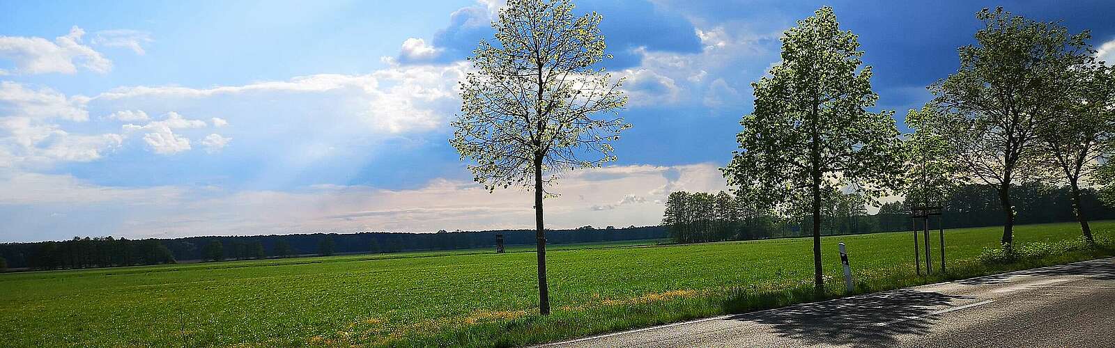 Entlang der Landstraße nach Löwenberg,
            
        
                Foto: Tourismusverband Fläming e.V./Catharina Weisser