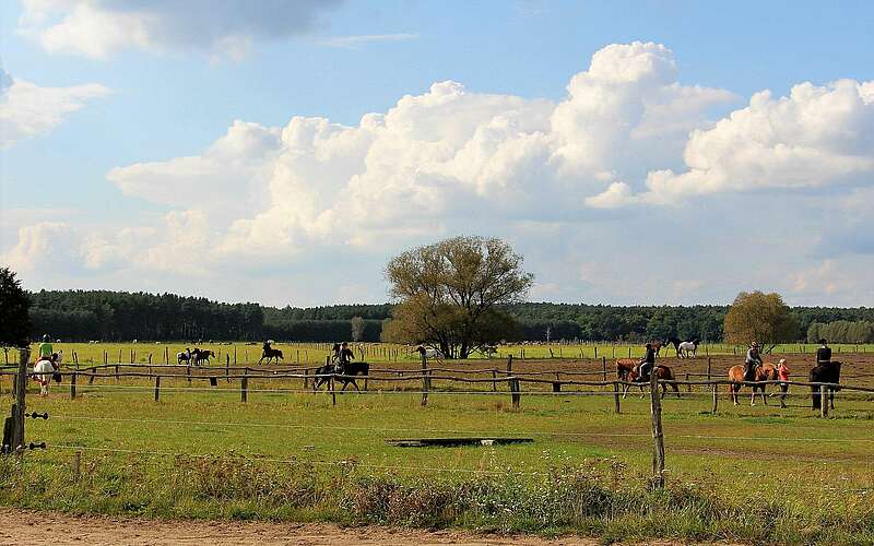 



    
        
                Reiter- & Erlebnisbauernhof Groß Briesen,
            
        
                Foto: Tourismusverband Fläming e.V./Reiter- & Erlebnisbauernhof Groß Briesen
            
    
