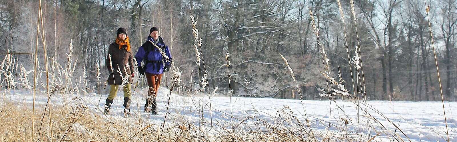 Winter im Naturpark Hoher Fläming