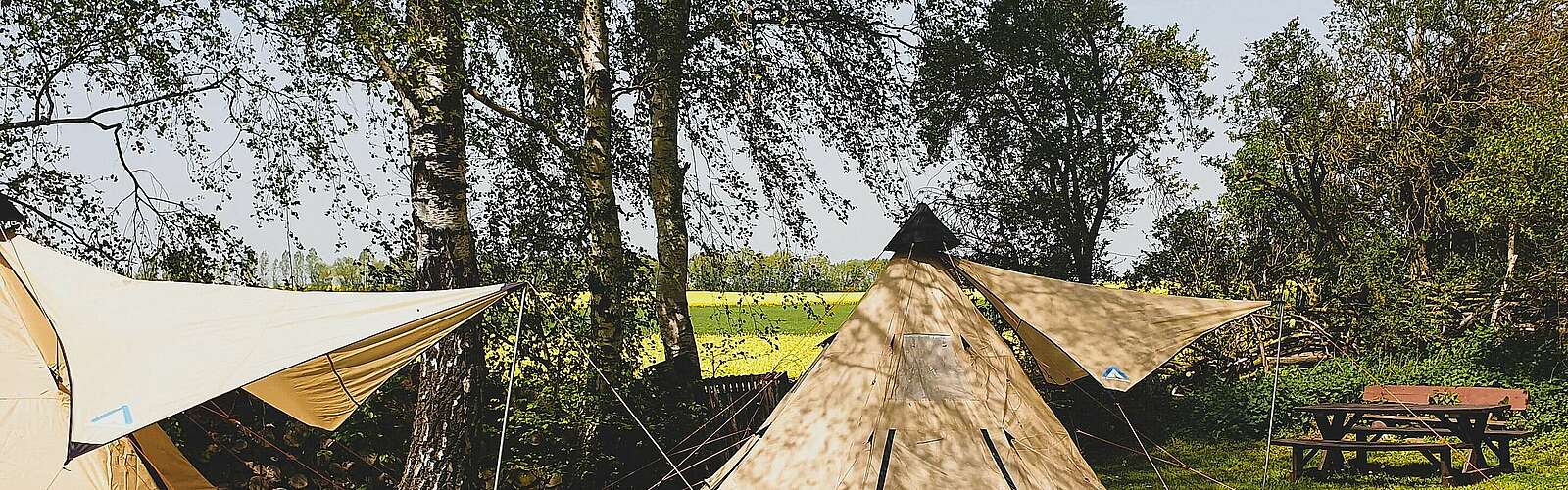 Zelte vor Rapsfeld in Oehna,
        
    

        Foto: Flaeming Camping Oehna/Fotograf / Lizenz - Media Import