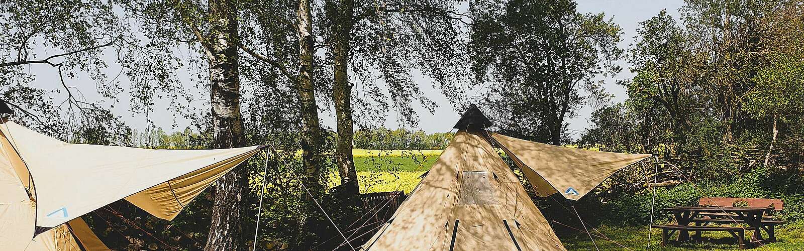 Zelte vor Rapsfeld in Oehna,
            
        
                Foto: Flaeming Camping Oehna/Kein Urheber bekannt