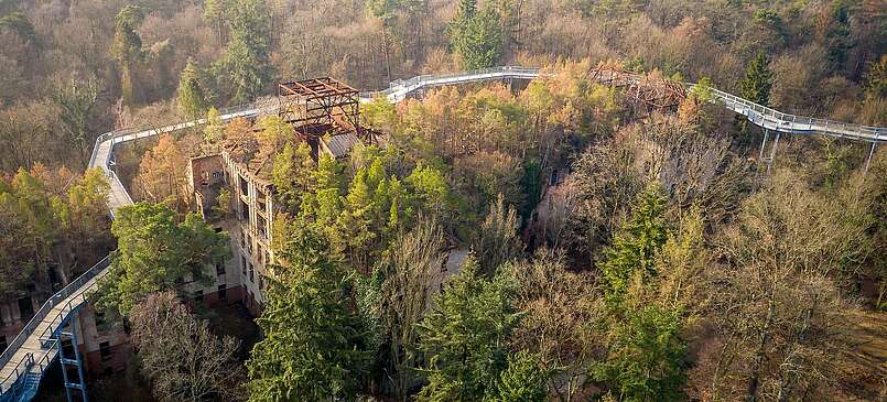 Baumkronenpfad in Beelitz Heilstätten