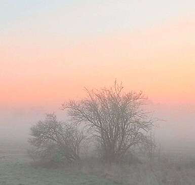 Bunter Himmel und Nebel bei Beelitz